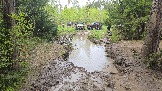 20260510_113510.jpg