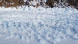 DJI_0882.JPG