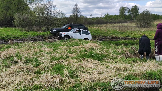дглпановр43.png