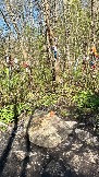 IMG_2800.JPG