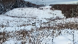 Трофи-лайф фото 4х4 покатушка Рогачёвские Сокровища 14.12.2024 - (87).png