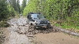 20260510_120310.jpg