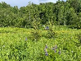 IMG_8771.JPG