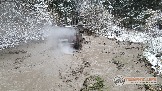 Фото Трофи-лайф 4х4 покатушка Новоистринские Просеки 28.10.23 - 455.jpg
