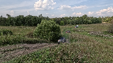 Трофи-лайф фото 4х4 Школа около Чехова 01.09.2024 -  (41).png