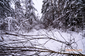 Фото Трофи-лайф 4х4 покатушка Мещерские Скитания 04.01.22 - 180.jpg