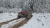 20251115_123654(0).jpg