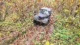 20251011_115518.jpg