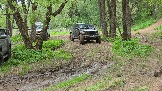 20250518_131913.jpg
