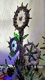 IMG_1041.jpg