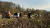 IMG_7493.jpg