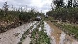 20250426_121333.jpg