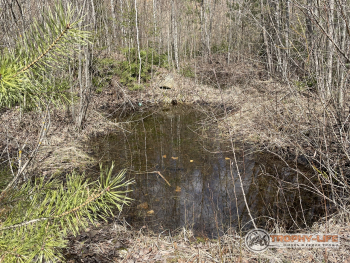 Фото Трофи-лайф 4х4 покатушкаэкспедиция Тверской Край 1-2.05.22 - 174.JPG