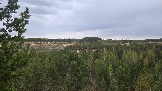 20250503_174912.jpg
