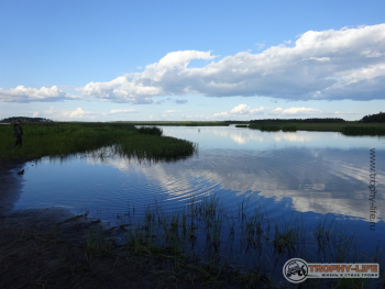 Фото Трофи-лайф 4х4 покатушка-экспедиция Рязанская Мещера 21-24.08.20 -11.JPG