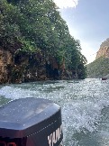 IMG_8761.JPEG