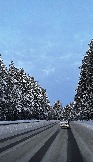 IMG_2848.JPG