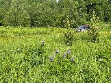IMG_8770.JPG
