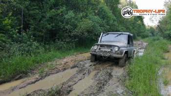 VID_20200627_195648.00_31_23_15.Still086.png