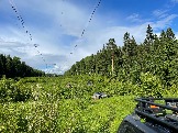 IMG_8811.JPG