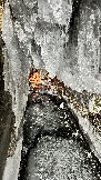 AF66D842-BB7A-4474-A239-674FC3D65D84.jpeg