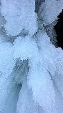 CEE57BA8-3952-432E-B6C5-C7F6218A80C8.jpeg