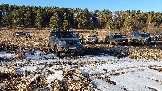 20250308_164118.jpg