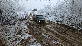 20251115_112703.jpg
