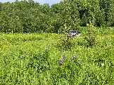 IMG_8760.JPG