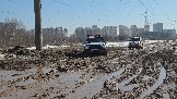 20260329_110811.jpg