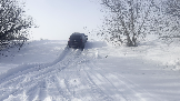 Трофи-лайф фото 4х4 покатушка Калужские Холмогоры 16.03.2024 -  (33).png