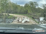 Фото Трофи-лайф 4х4 покатушка Мещерские Озёра 6-9.05.23 - 201.JPG