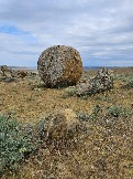 Трофи-лайф Экспедиция Казахстан Май 2024 (58).jpg
