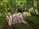 IMG_1033.JPG
