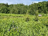 IMG_8807.JPG