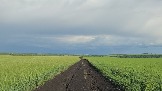 20250613_182136.jpg