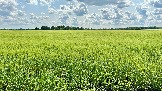 IMG_1649.jpg