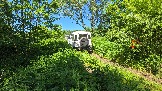 20260606_123809.jpg