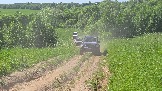 20260606_143920.jpg