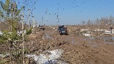 20260329_110152.jpg