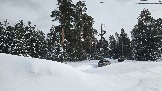 20260221_133910.jpg