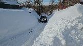 20260222_113155.jpg