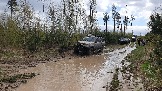 20250426_120142.jpg