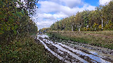 Трофи-лайф фото 4х4 покатушка Пещера Володары 03.10.2026 - 109.JPG