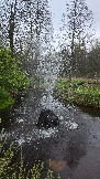 20250503_181009.jpg