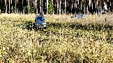 Трофи-лайф фото 4х4 покатушка Рогачёвские Сокровища 19.10.2024 - (52).png