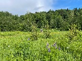 IMG_8782.JPG