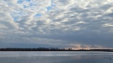 20260501_175426.jpg