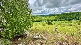 IMG_1198.jpg
