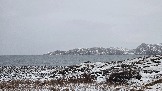 20251202_132709 парк.jpg